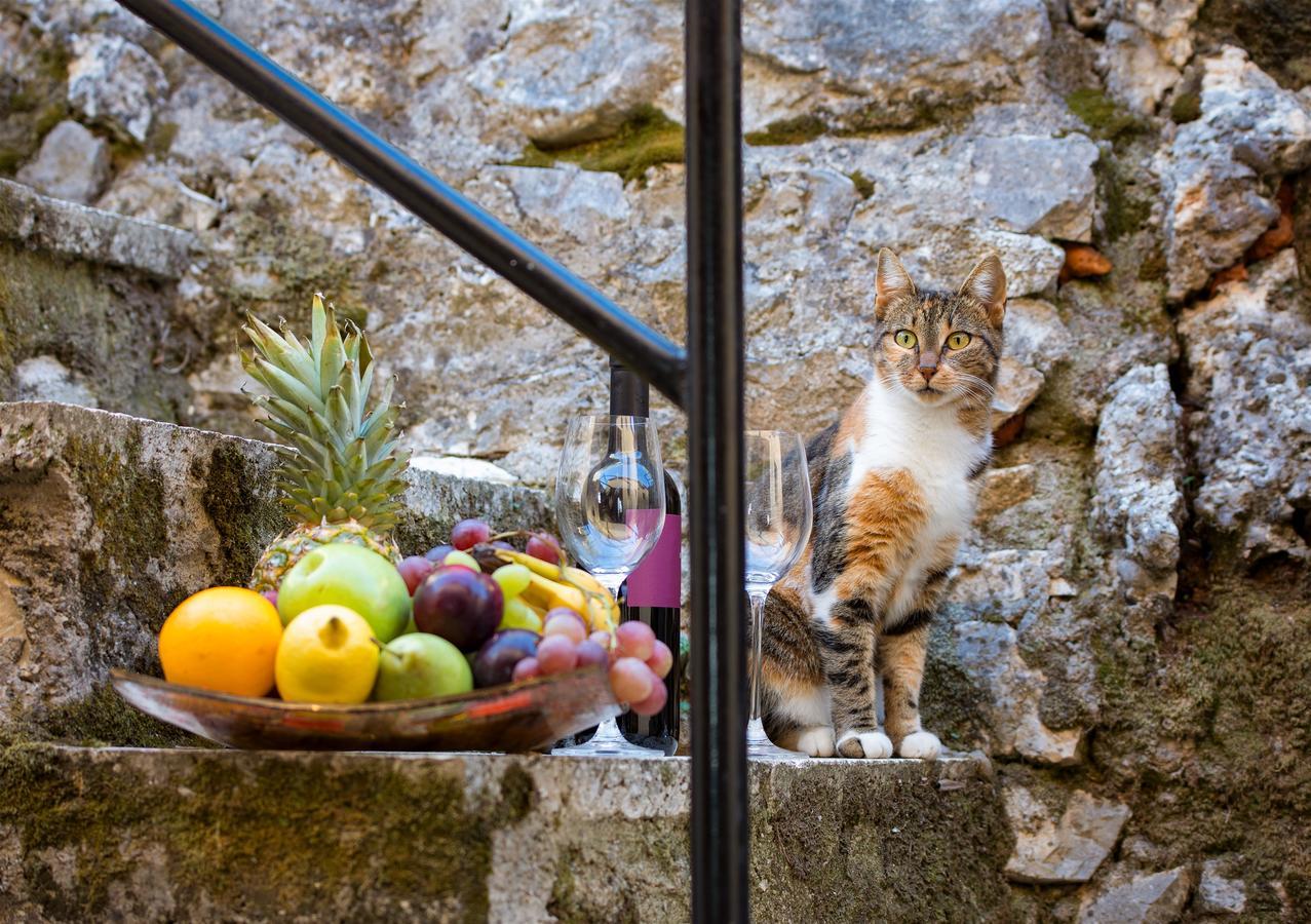 Villa Perris Studios Kassiopi Extérieur photo